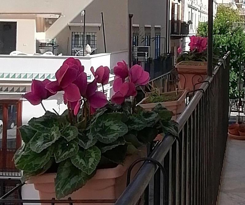 Calimero Luxury Suite Palermo Luaran gambar
